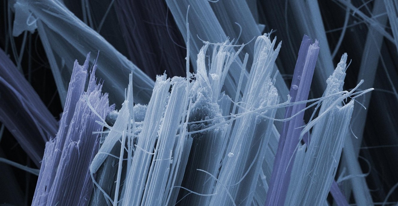 Graticules for Asbestos Analysis