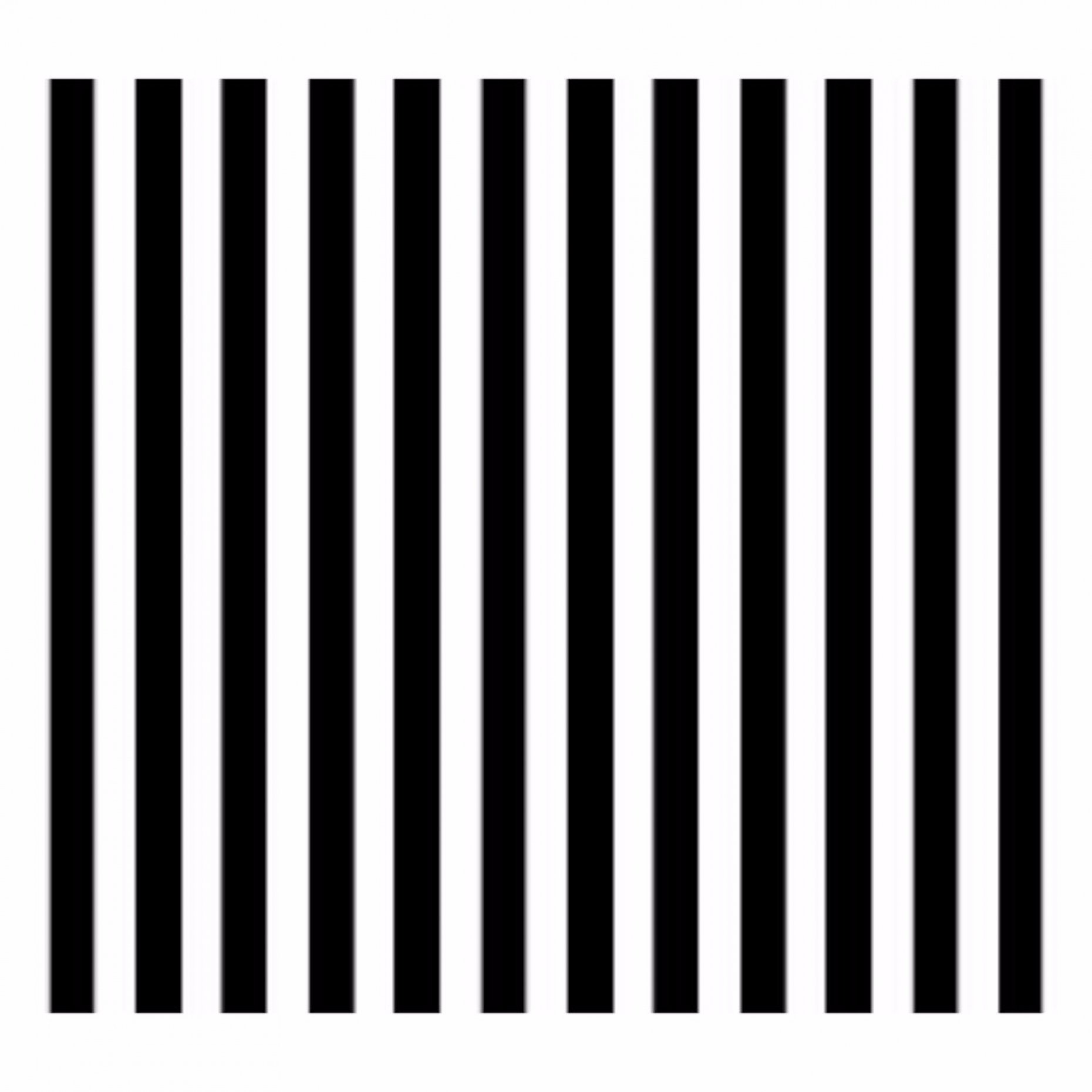 R12 Ronchi Ruling 2 Lines/mm Pattern