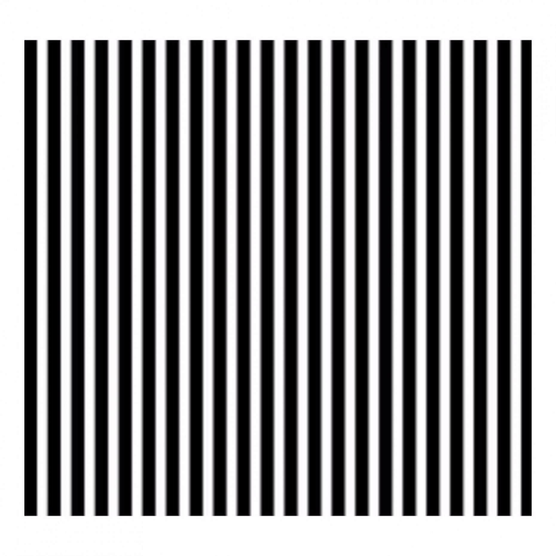 R15 Ronchi Ruling 8 Lines/mm Pattern