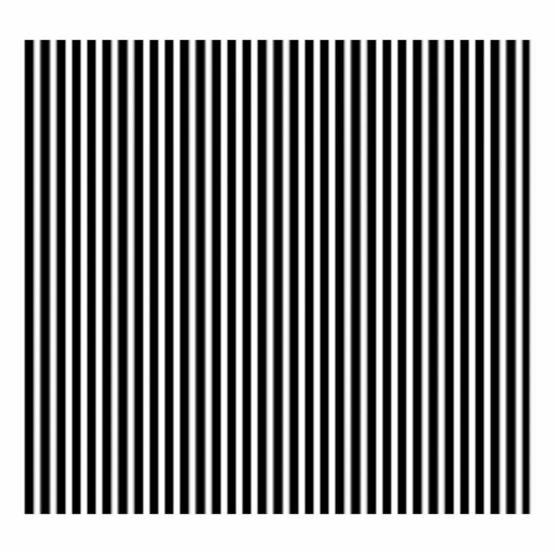 R16 Ronchi Ruling 20 Lines/mm Pattern