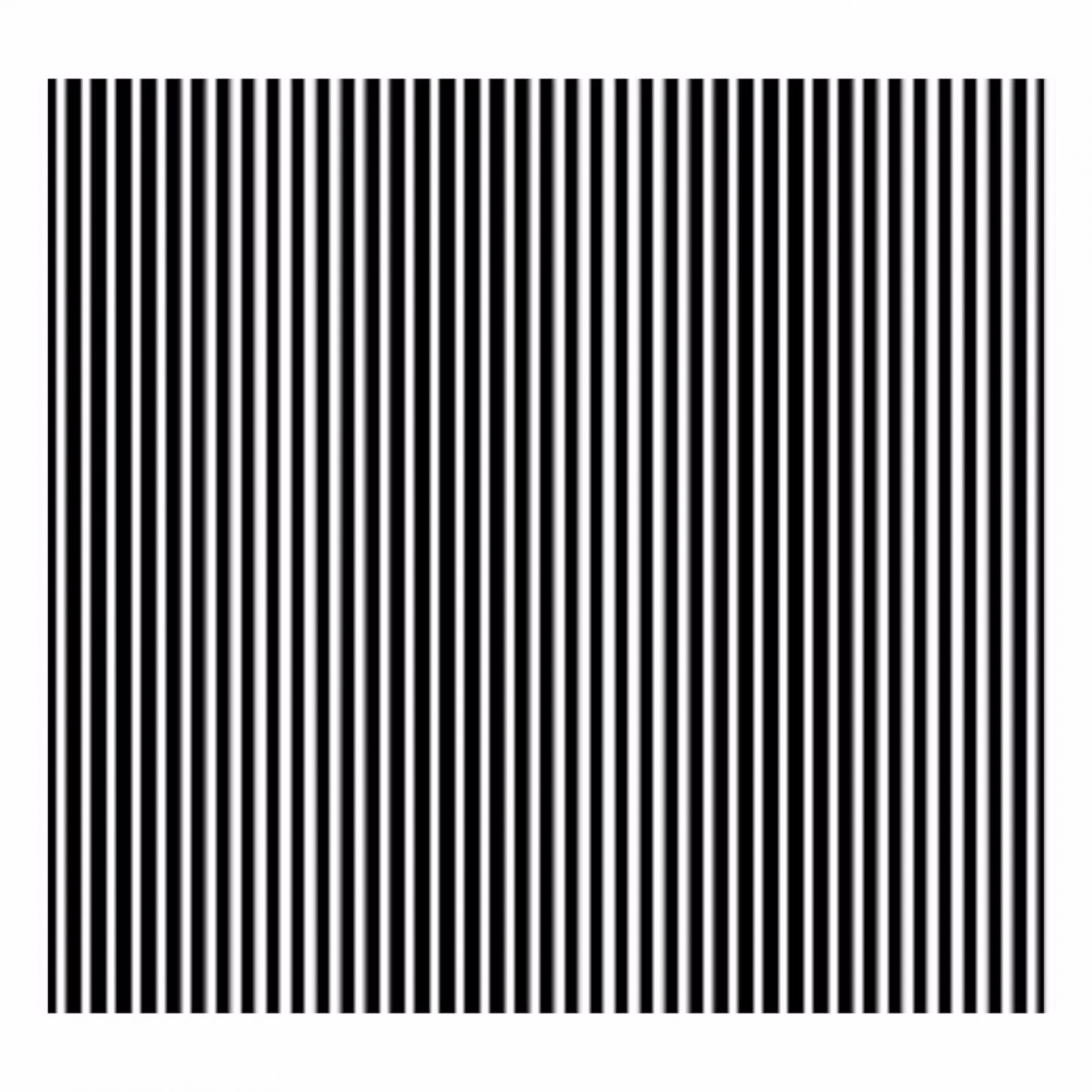 R17 Ronchi Ruling 40 Lines/mm Pattern